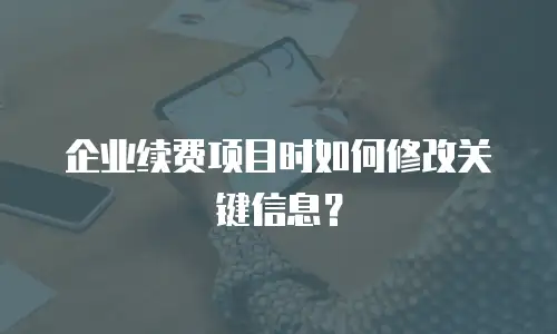 企业续费项目时如何修改关键信息？