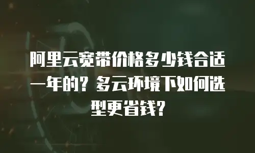 阿里云宽带价格多少钱合适一年的？多云环境下如何选型更省钱？