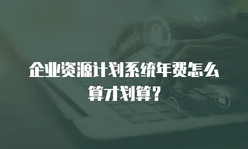 企业资源计划系统年费怎么算才划算？