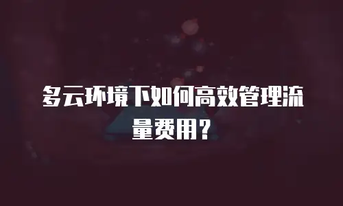 多云环境下如何高效管理流量费用？