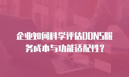 企业如何科学评估DDNS服务成本与功能适配性？