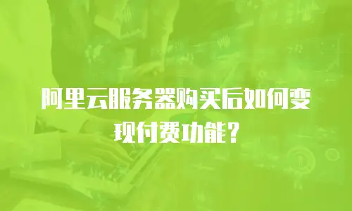阿里云服务器购买后如何变现付费功能？