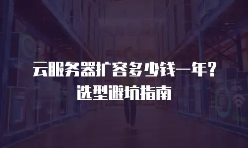 云服务器扩容多少钱一年？选型避坑指南