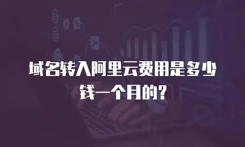 域名转入阿里云费用是多少钱一个月的？
