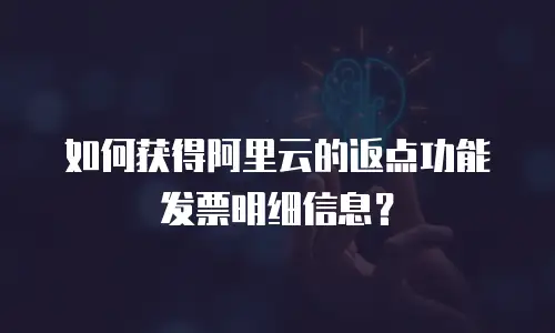 如何获得阿里云的返点功能发票明细信息？