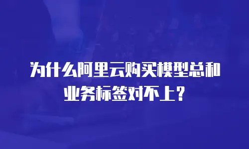 为什么阿里云购买模型总和业务标签对不上？