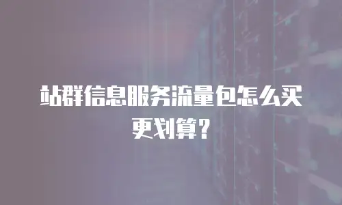 站群信息服务流量包怎么买更划算？