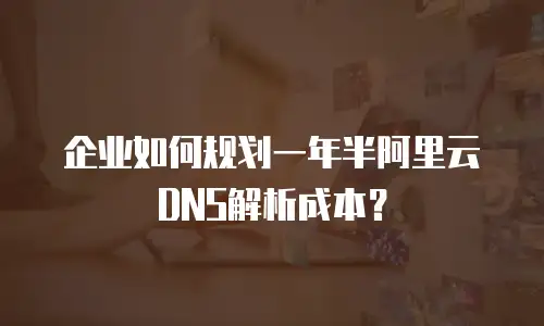 企业如何规划一年半阿里云DNS解析成本？