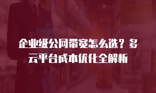 企业级公网带宽怎么选？多云平台成本优化全解析