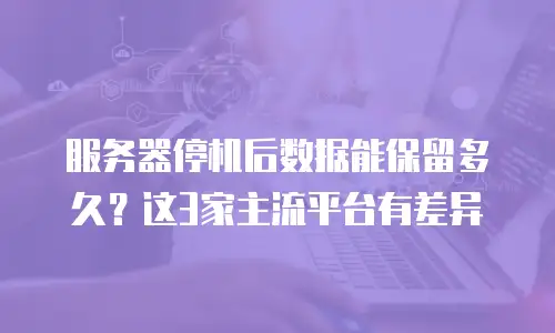 服务器停机后数据能保留多久？这3家主流平台有差异