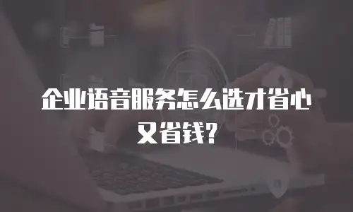 企业语音服务怎么选才省心又省钱？