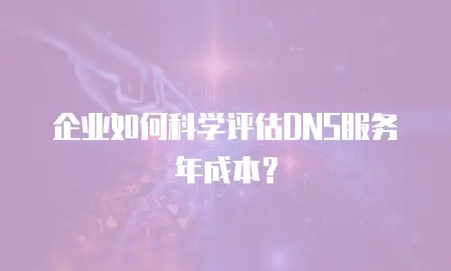 企业如何科学评估DNS服务年成本？