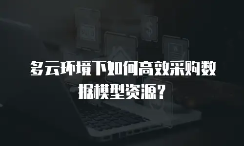多云环境下如何高效采购数据模型资源？