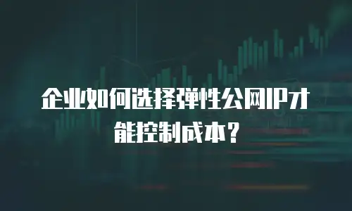 企业如何选择弹性公网IP才能控制成本？