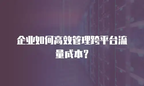 企业如何高效管理跨平台流量成本？