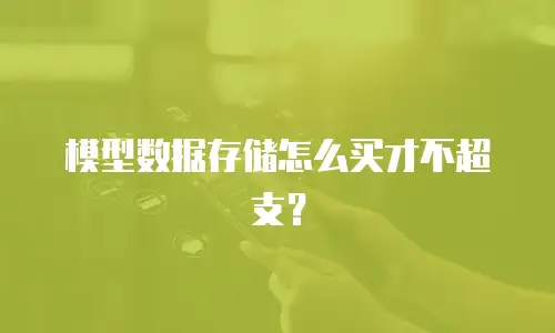 模型数据存储怎么买才不超支？