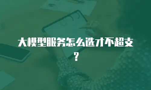 大模型服务怎么选才不超支？