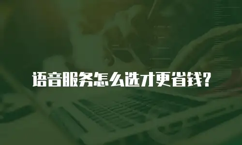 语音服务怎么选才更省钱？