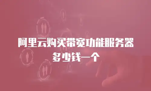 阿里云购买带宽功能服务器多少钱一个