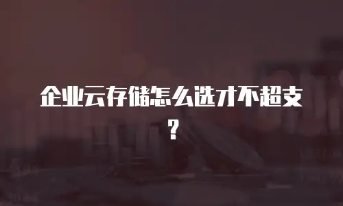 企业云存储怎么选才不超支？