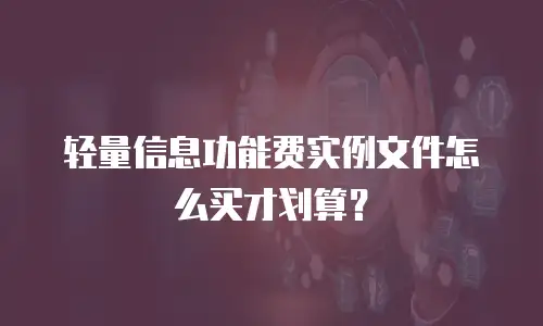 轻量信息功能费实例文件怎么买才划算？