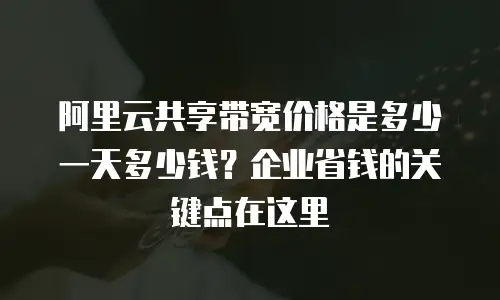 阿里云共享带宽价格是多少一天多少钱？企业省钱的关键点在这里