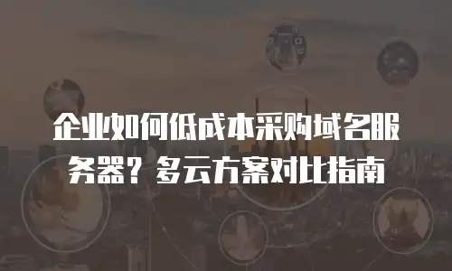 企业如何低成本采购域名服务器？多云方案对比指南