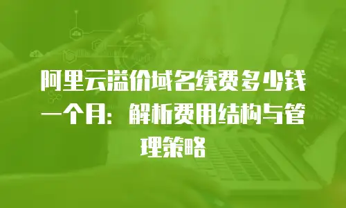 阿里云溢价域名续费多少钱一个月：解析费用结构与管理策略