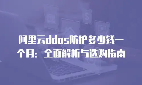 阿里云ddos防护多少钱一个月：全面解析与选购指南