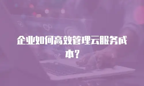 企业如何高效管理云服务成本？