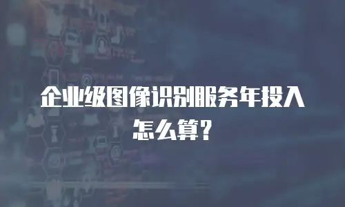 企业级图像识别服务年投入怎么算？