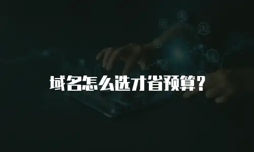 域名怎么选才省预算？