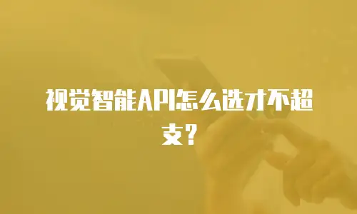 视觉智能API怎么选才不超支？