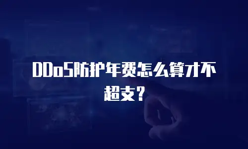 DDoS防护年费怎么算才不超支？