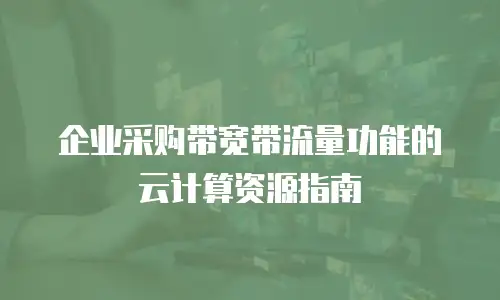 企业采购带宽带流量功能的云计算资源指南