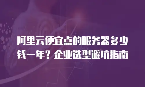 阿里云便宜点的服务器多少钱一年？企业选型避坑指南