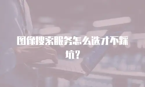 图像搜索服务怎么选才不踩坑？