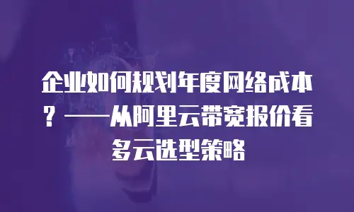 企业如何规划年度网络成本？——从阿里云带宽报价看多云选型策略
