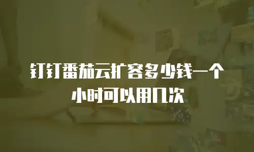 钉钉番茄云扩容多少钱一个小时可以用几次