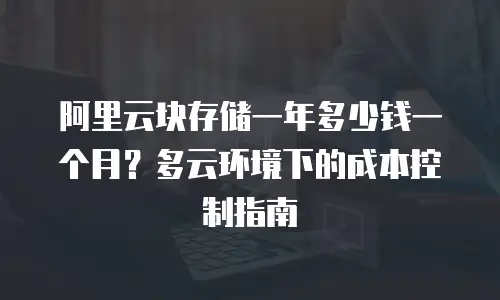阿里云块存储一年多少钱一个月？多云环境下的成本控制指南