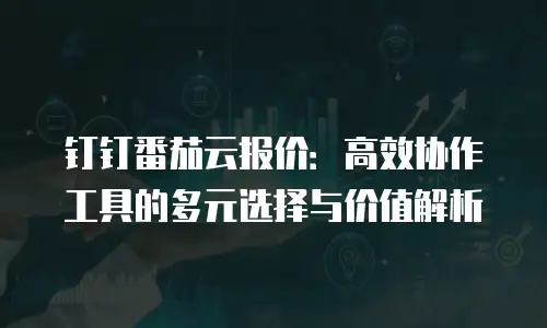 钉钉番茄云报价：高效协作工具的多元选择与价值解析