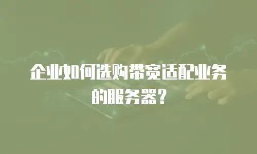 企业如何选购带宽适配业务的服务器？