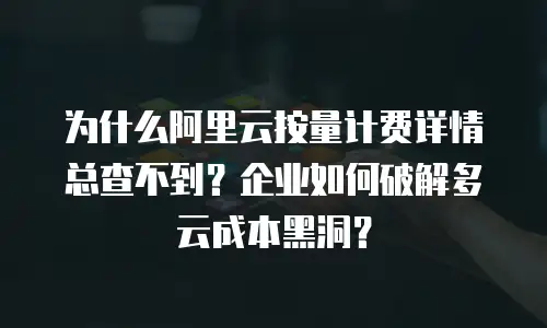 为什么阿里云按量计费详情总查不到？企业如何破解多云成本黑洞？