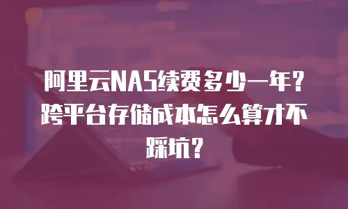 阿里云NAS续费多少一年？跨平台存储成本怎么算才不踩坑？