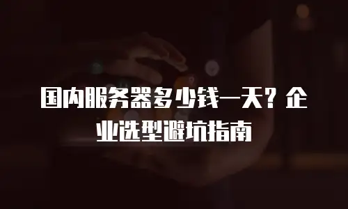 国内服务器多少钱一天？企业选型避坑指南