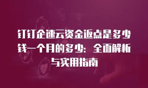 钉钉企速云资金返点是多少钱一个月的多少：全面解析与实用指南