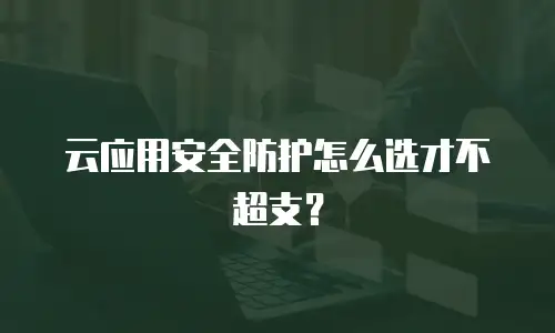 云应用安全防护怎么选才不超支？