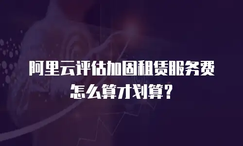 阿里云评估加固租赁服务费怎么算才划算？