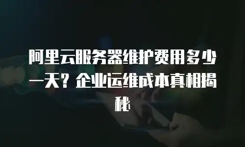 阿里云服务器维护费用多少一天？企业运维成本真相揭秘