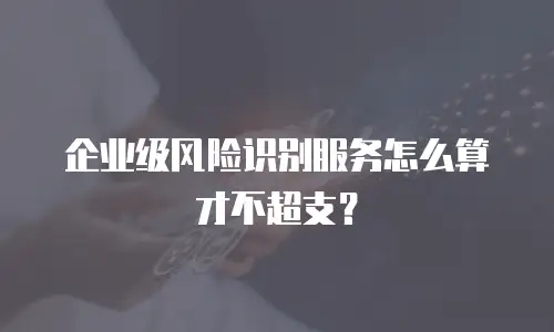 企业级风险识别服务怎么算才不超支？